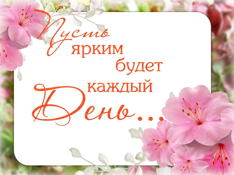 Пусть день будет ярким!
