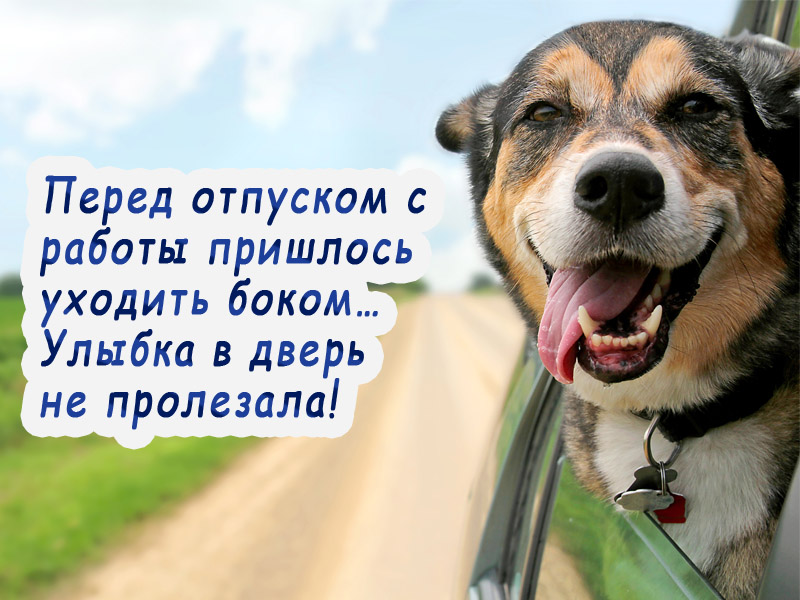 Отпуск — это хорошо!
