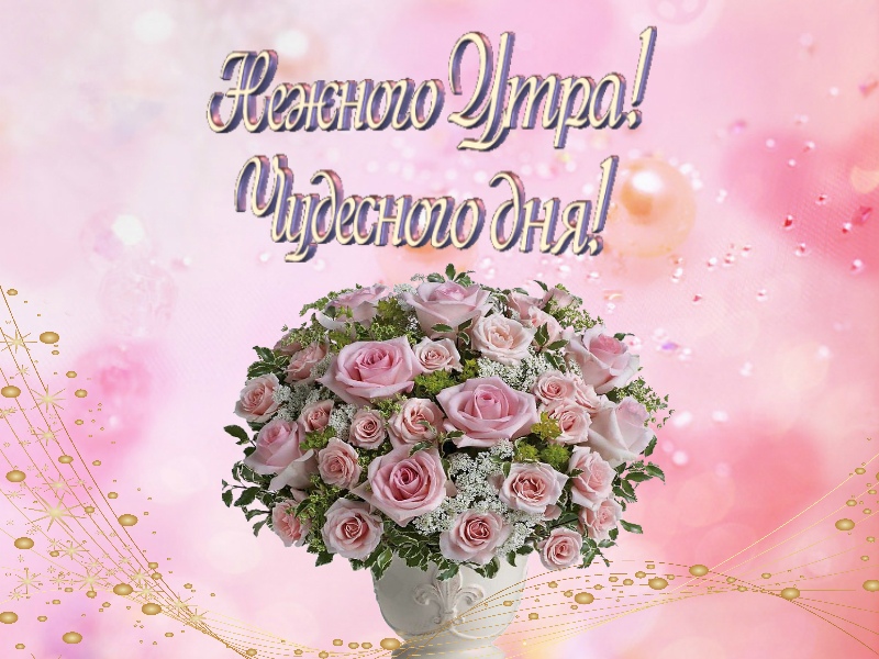 Нежного утра! Чудесного дня! Нежного утра! Чудесного дня!