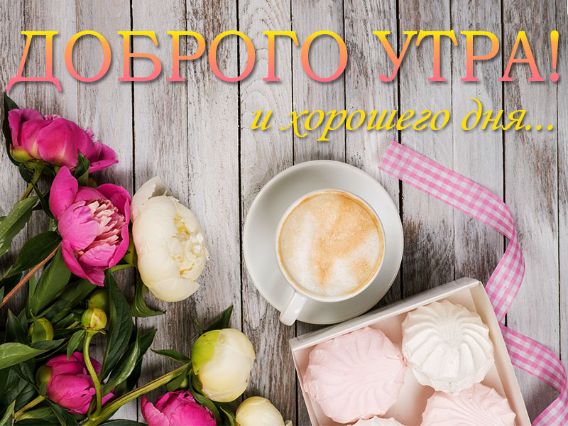 Доброго утра и хорошего дня