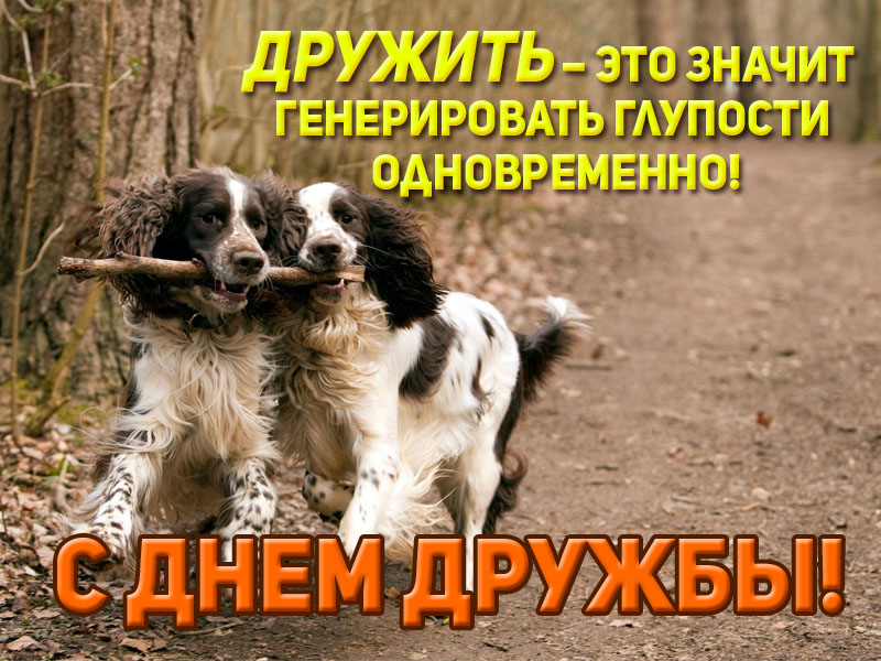 С днем дружбы