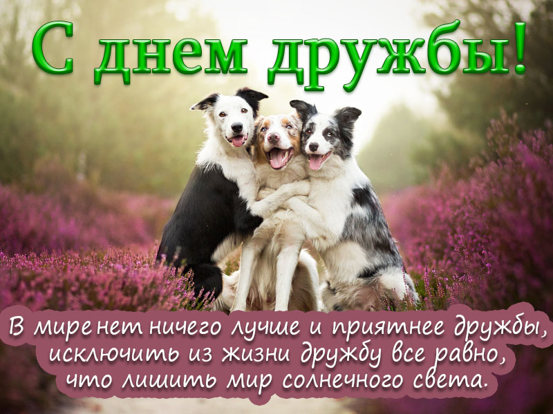 С днём дружбы