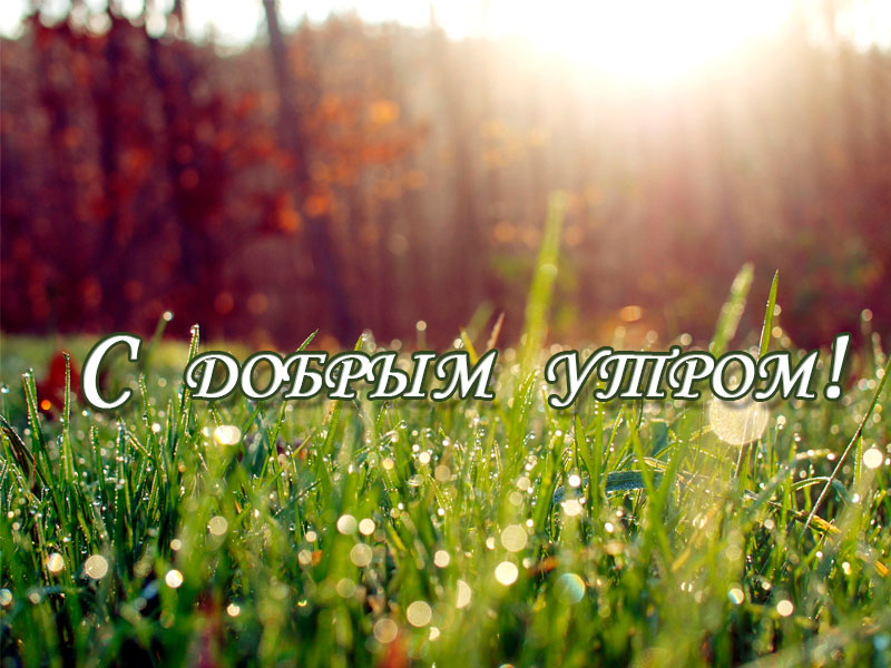 Всех с добром утром!