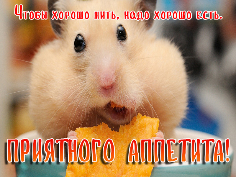 Чтобы хорошо жить, надо хорошо есть