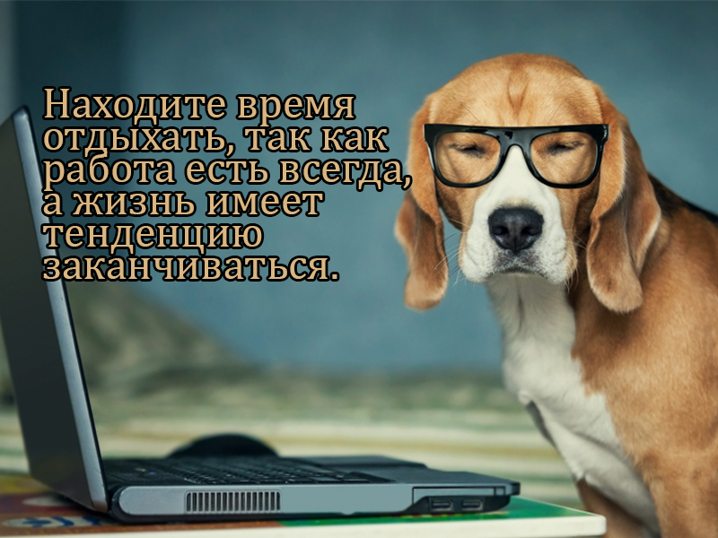 Время отдыхать!
