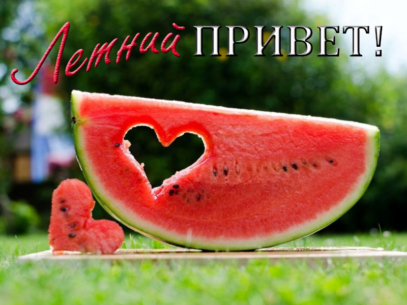 Летний привет