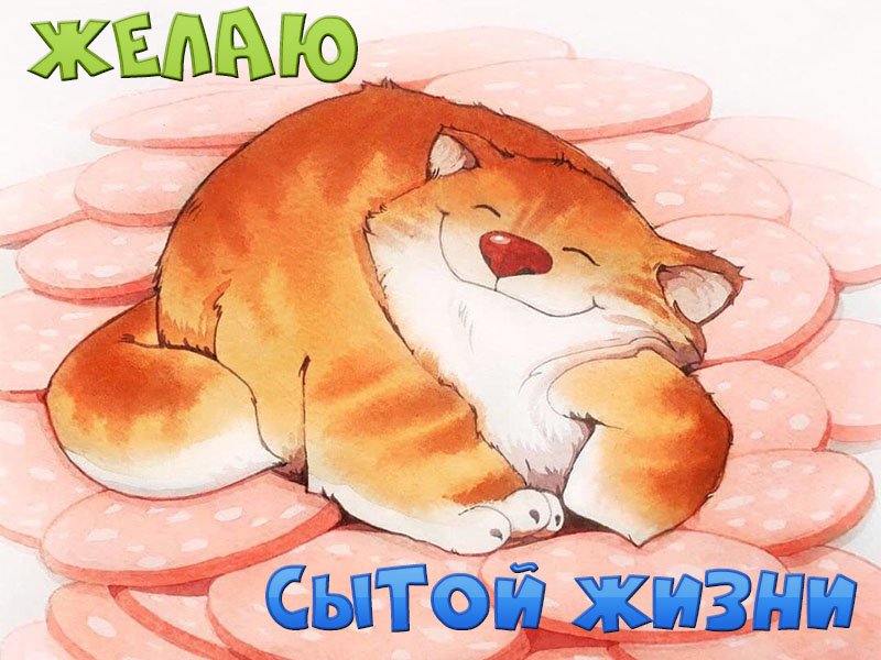Желаю сытой жизни