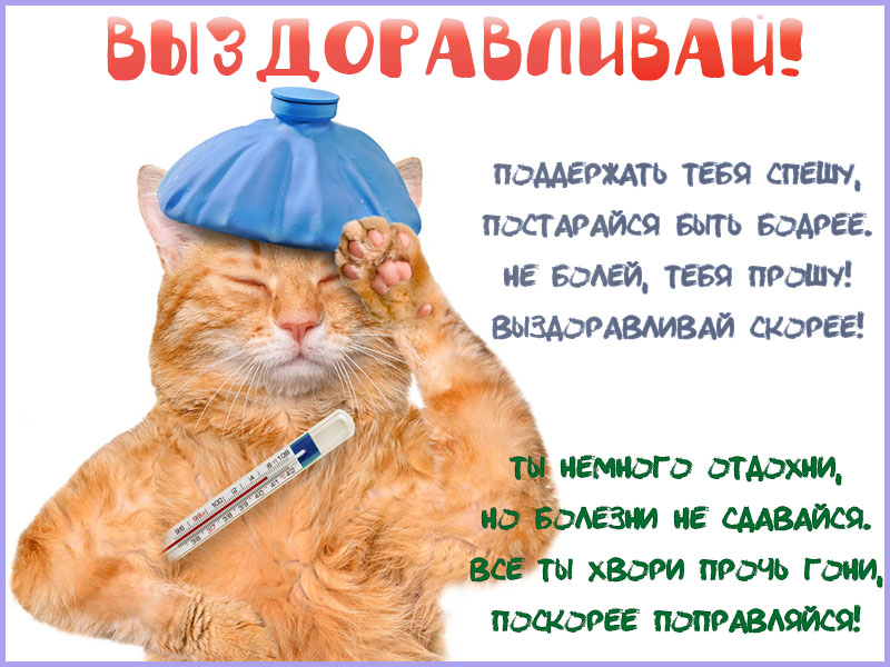 Выздоравливай!