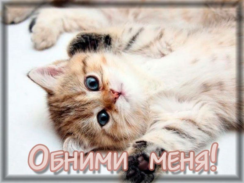 Обними меня