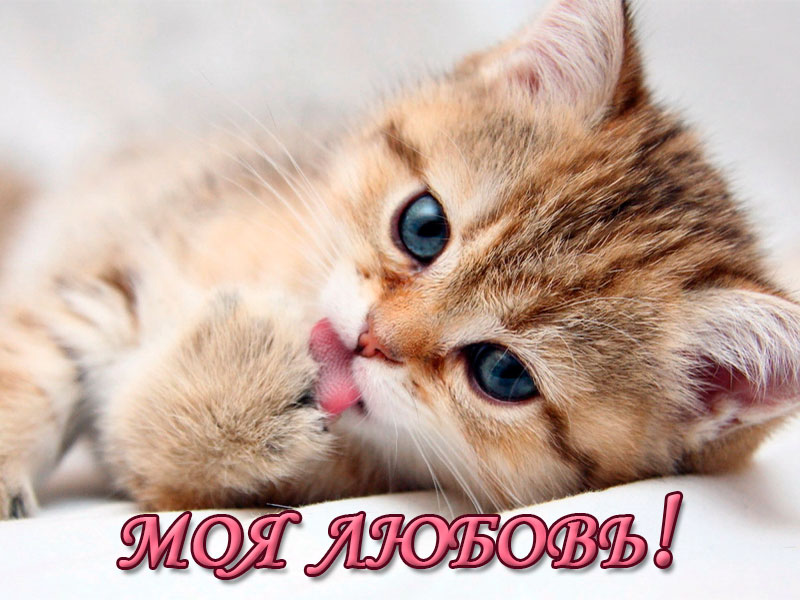 Комплимент любимому