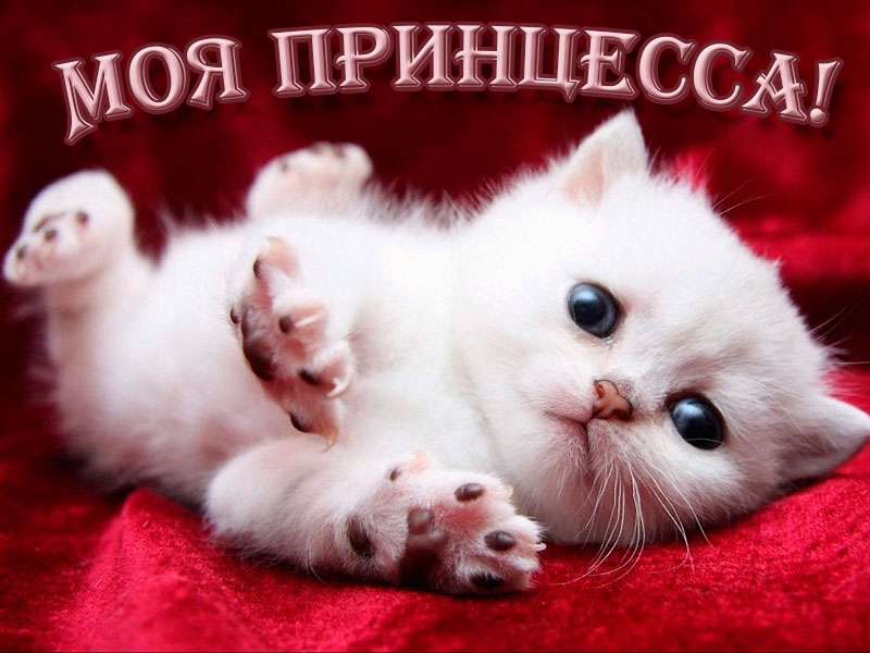 Комплимент девушке