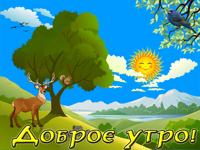 Доброе утро, друзья