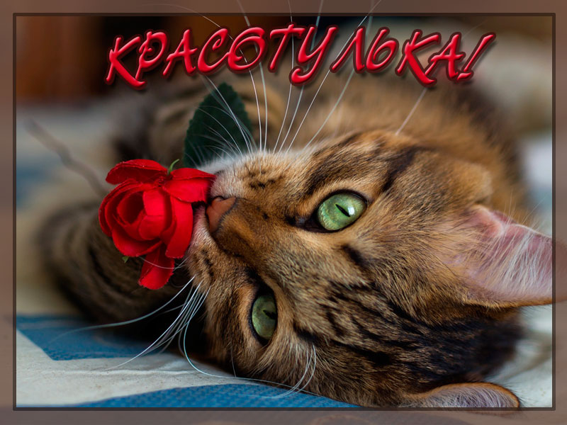 Красотулька