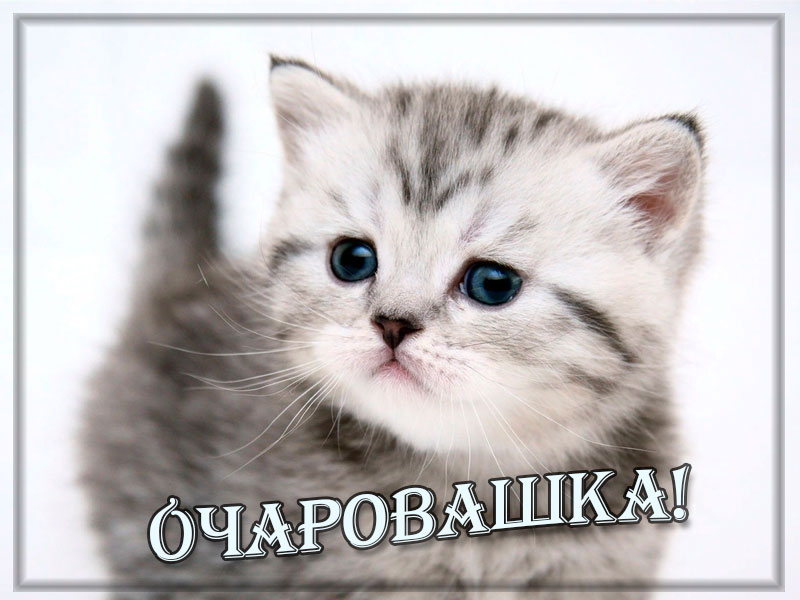 Очаровашка