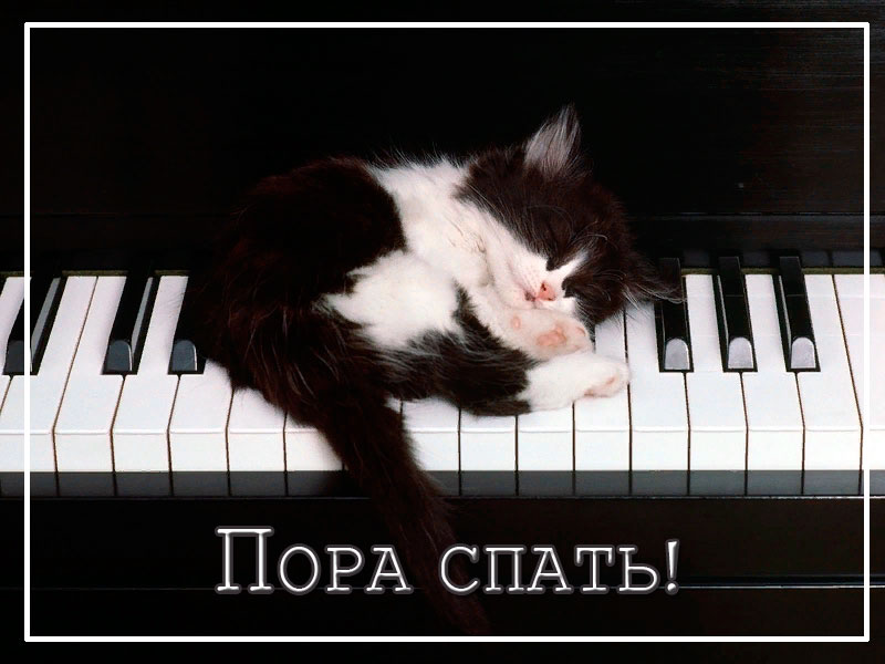 Пора спать
