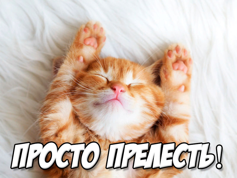 Просто прелесть