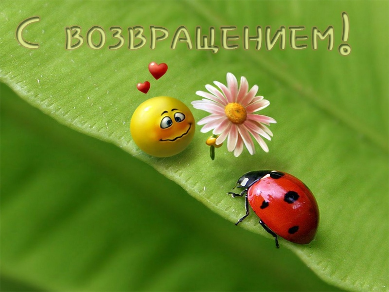 С возвращением