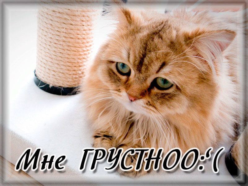 Мне грустно