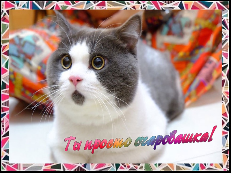 Комплимент любимой