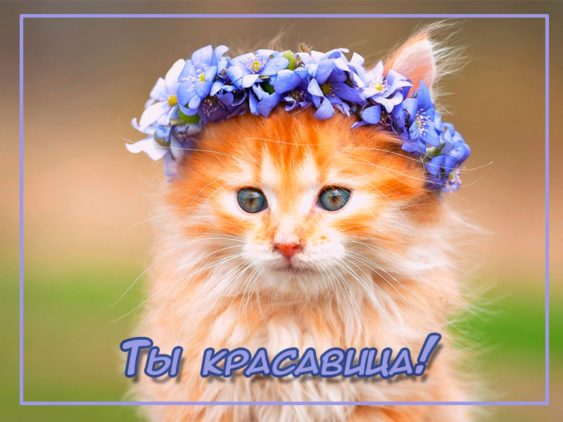 Ты красавица