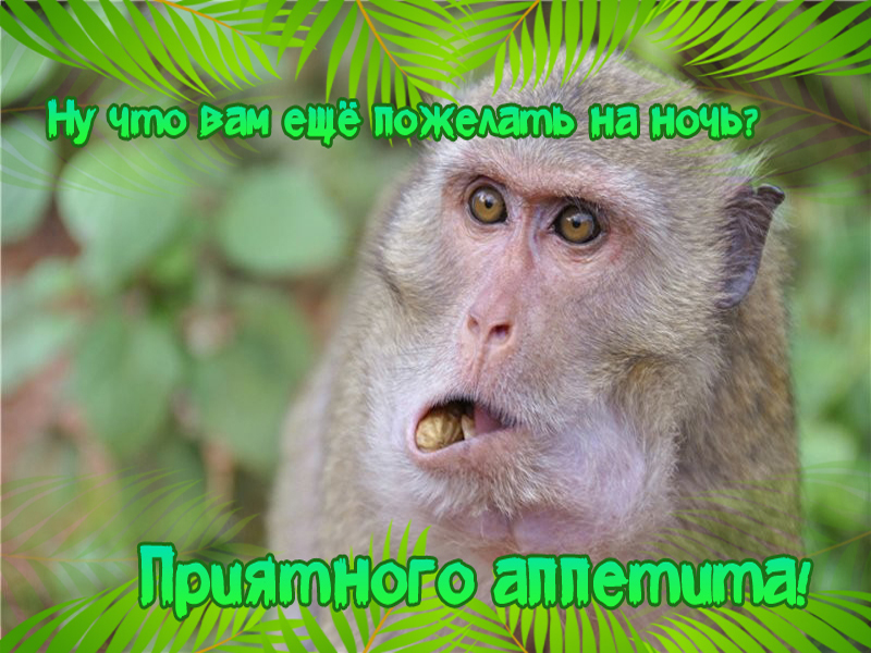 Смешное пожелание на ночь