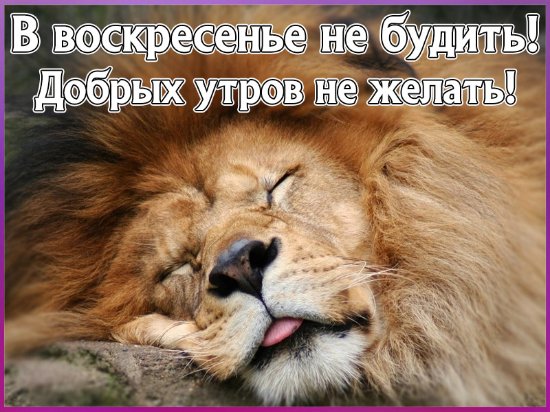 Воскресное утро