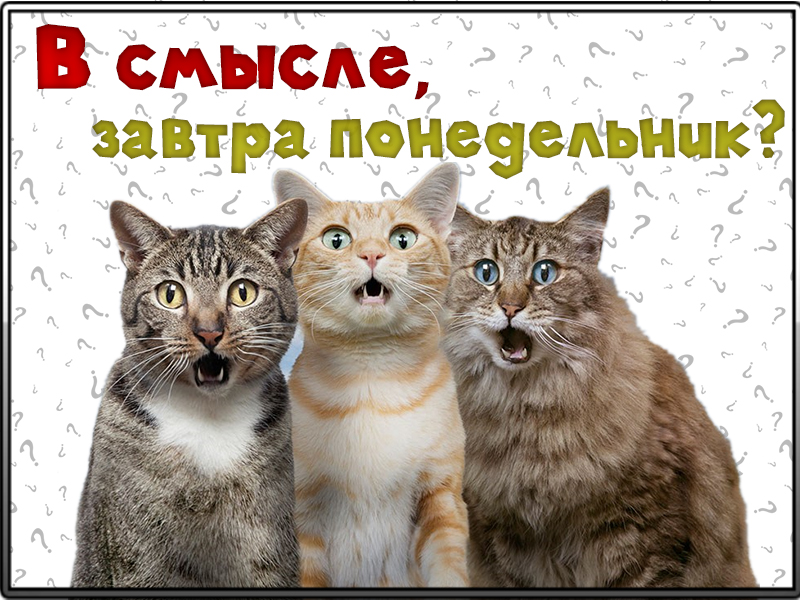 В смысле, завтра понедельник?