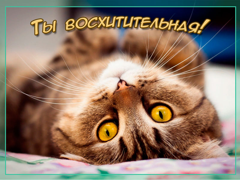 Дорогая, ты восхитительна