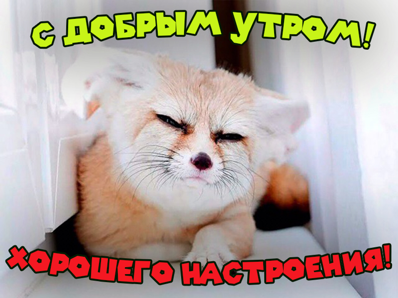 С Добрым утром, дорогая!