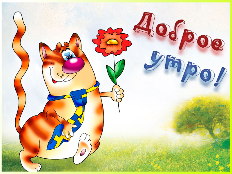 Послание с добрым утром