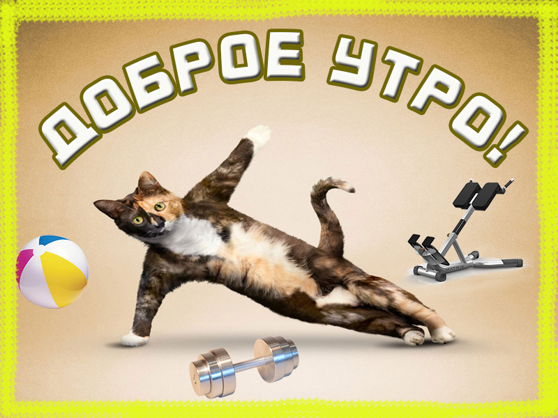 Доброе утречко