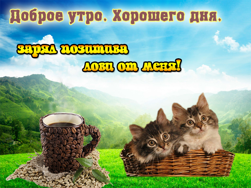 Доброго позитивного утра