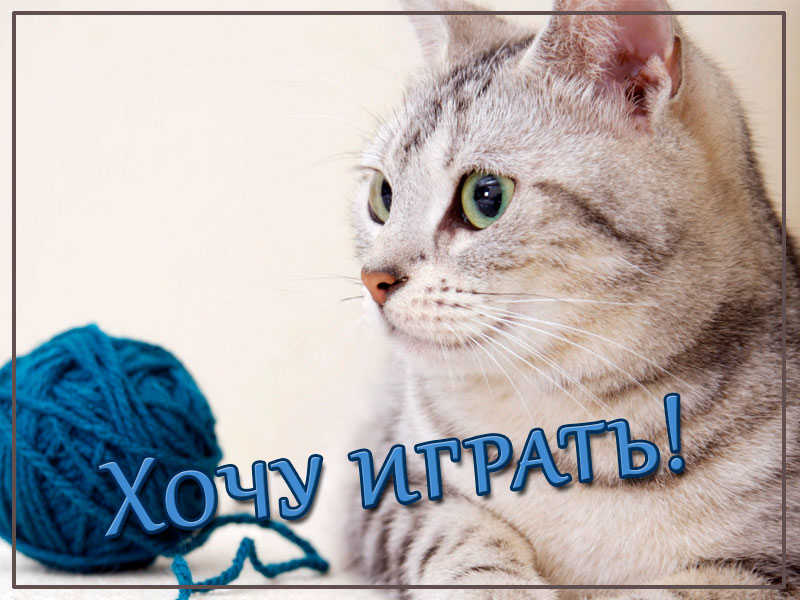 Хочу играть