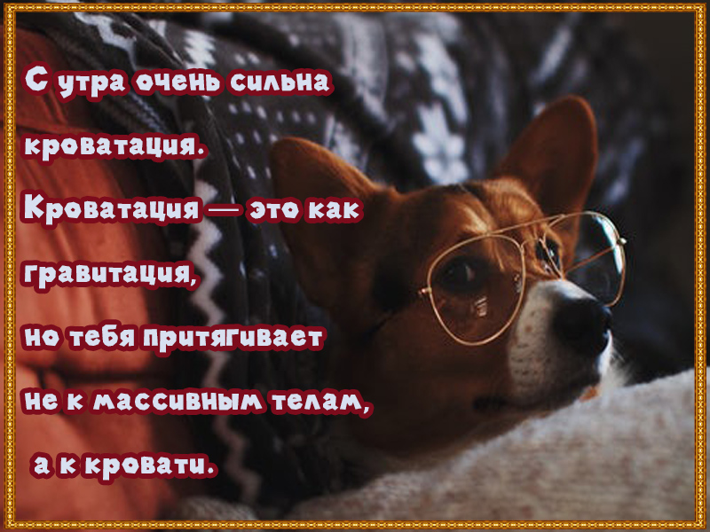 Кроватация — это как гравитация…