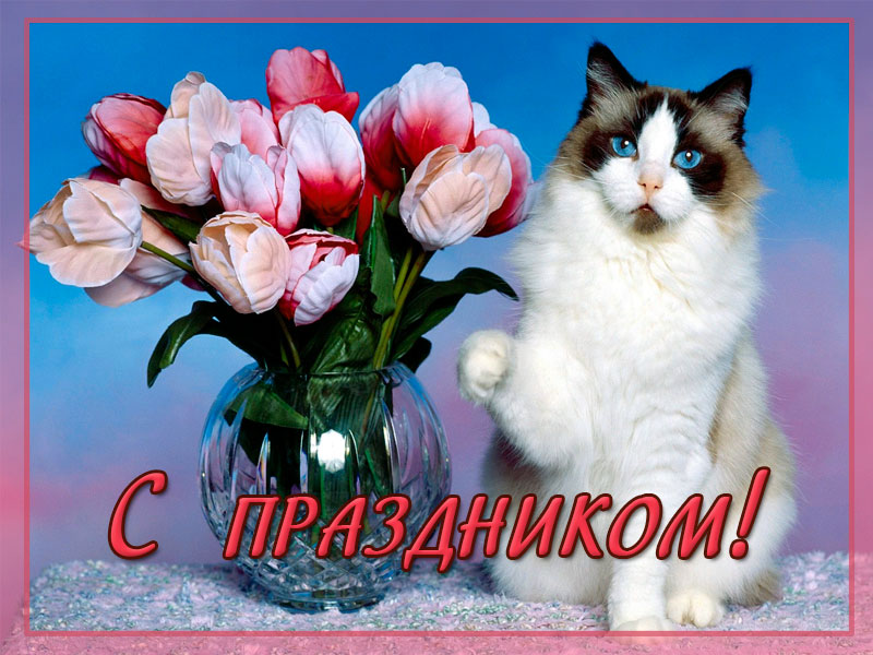 С праздником