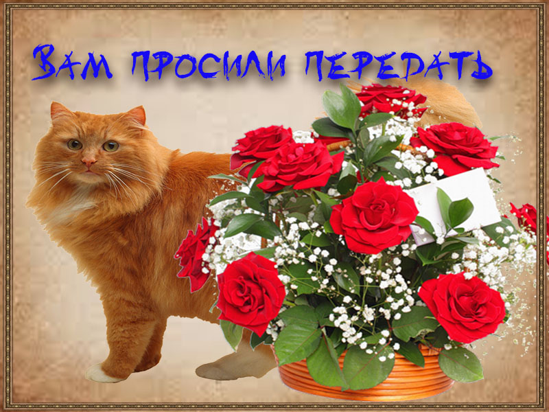 Послание с цветами
