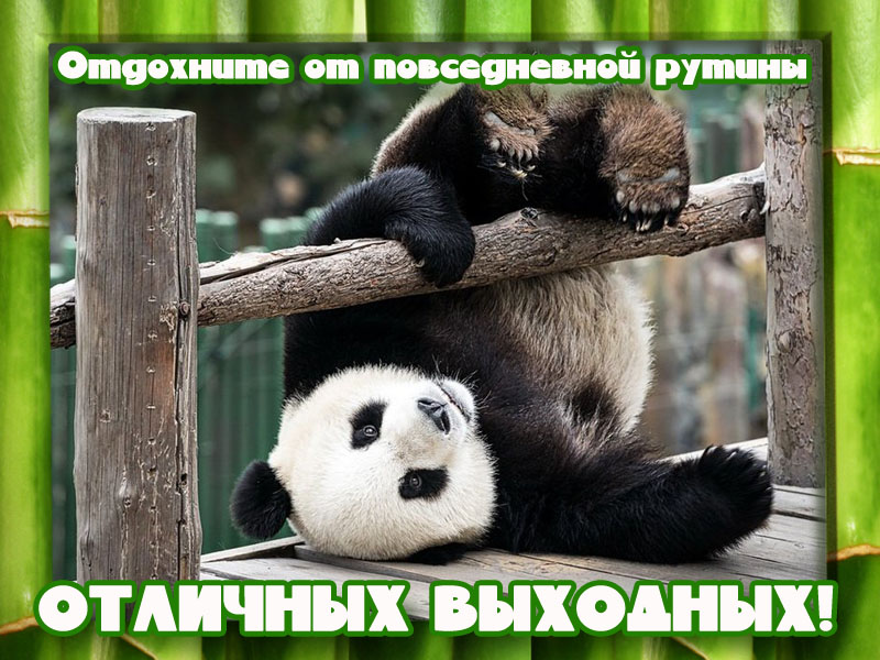 Отличных выходных!