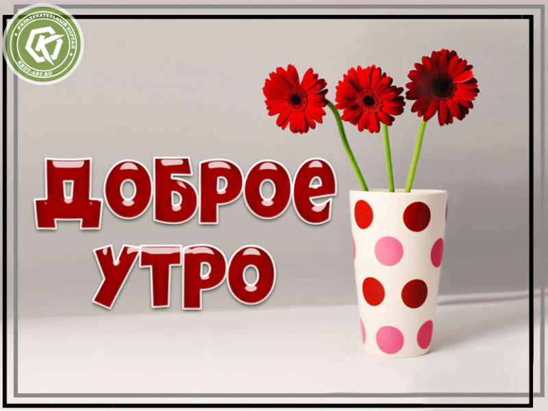Доброе утро с герберами