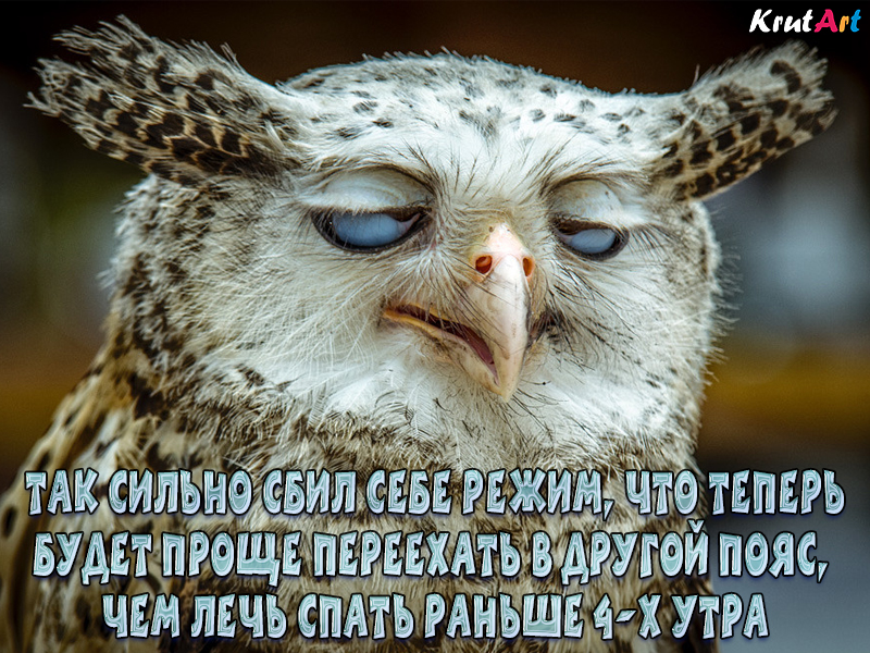 Шутка про сбитый режим