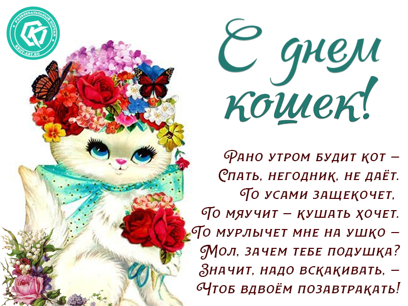 С днем кошек. Рано утром будит кот…