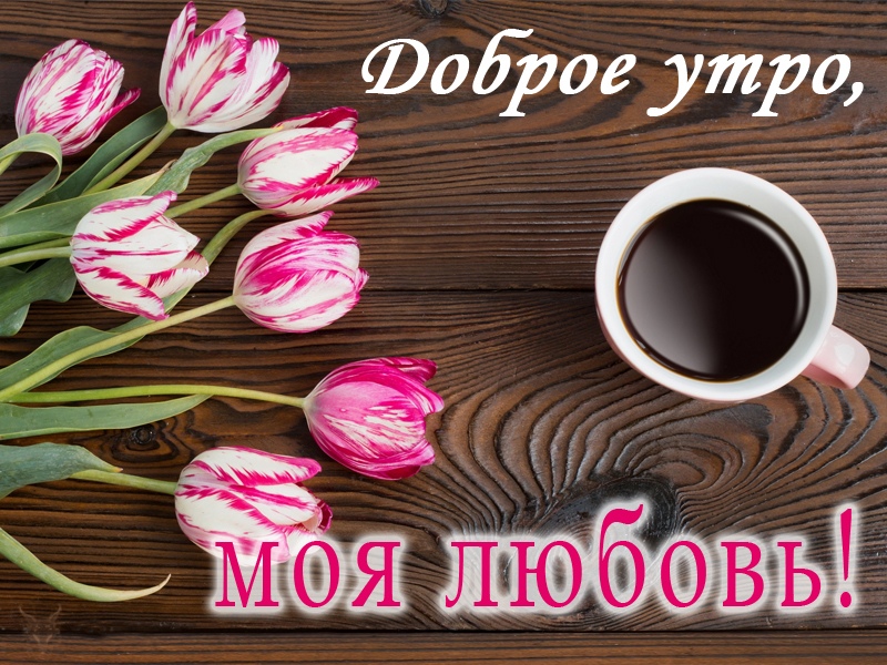 Доброе утро, моя любовь