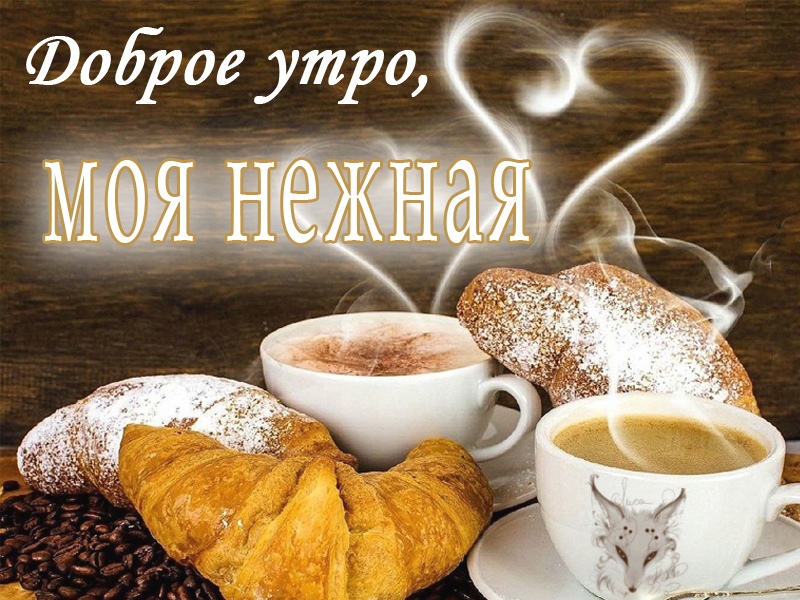 Доброе утро, моя нежная