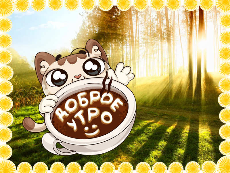 Доброе утро, котёнок!