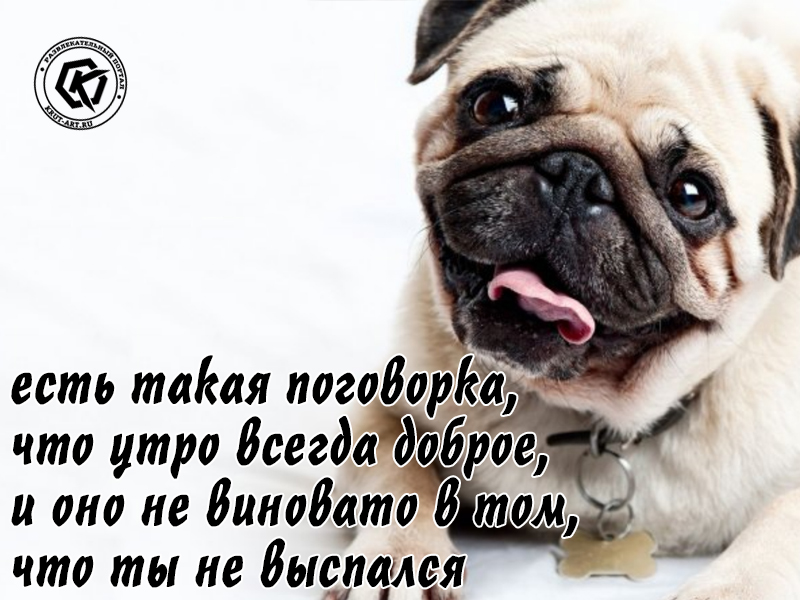Есть такая поговорка что утро всегда доброе
