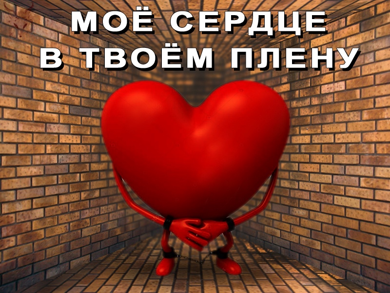 Мое сердце в твоем плену