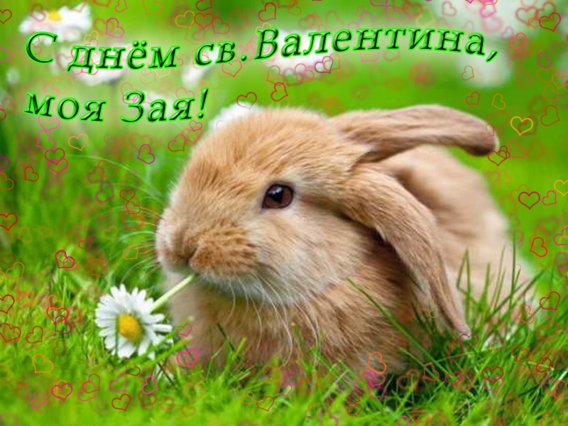 С днем святого Валентина моя зая