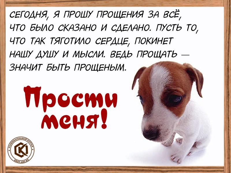 Сегодня я прошу прощения за все, что было сказано и сделано…