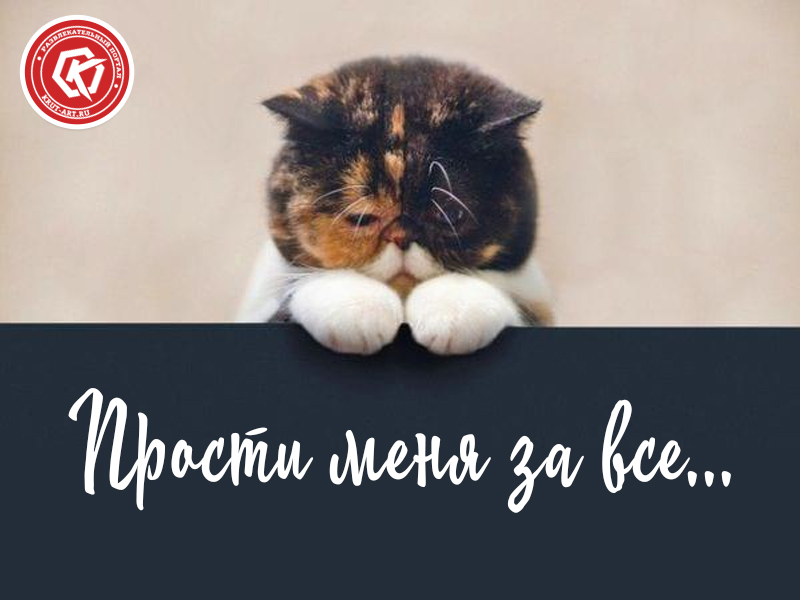 Прости меня за все