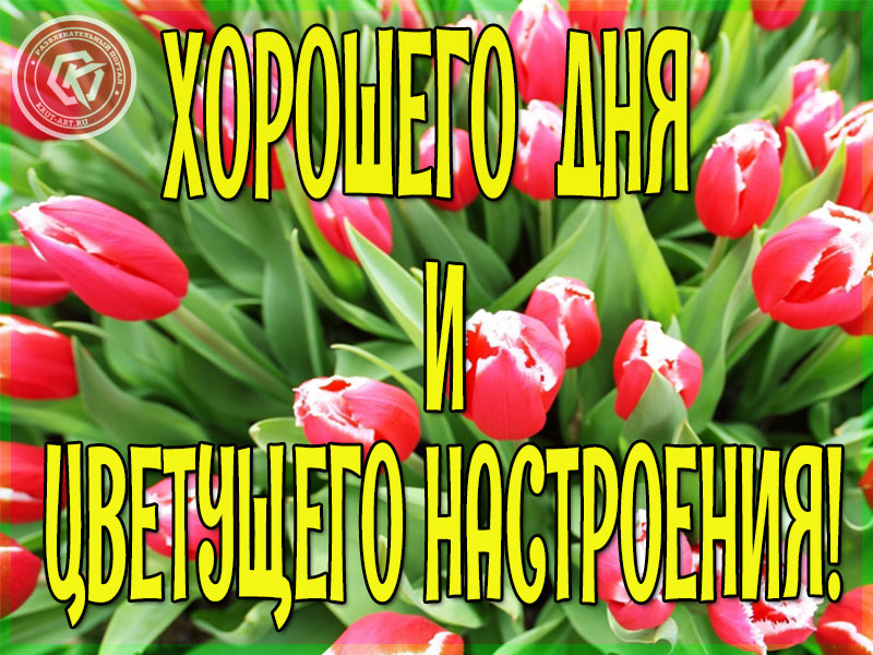 Цветущего настроения!