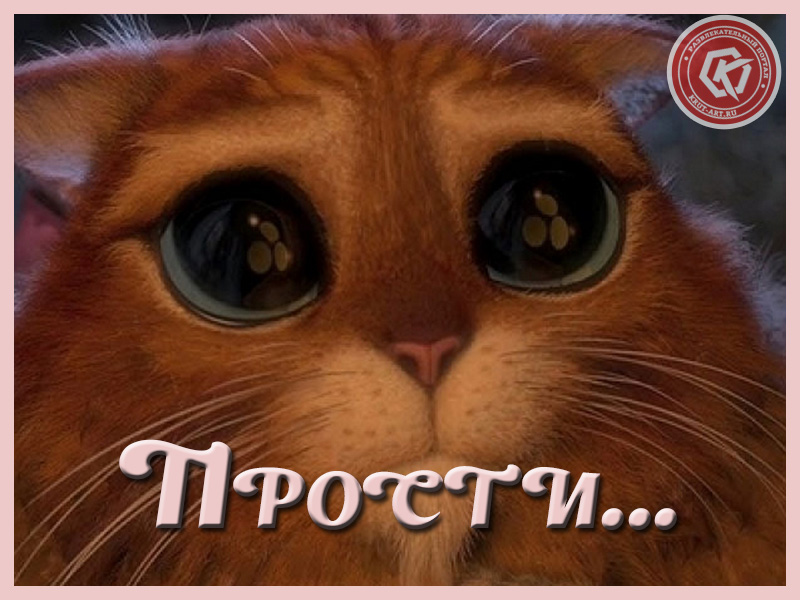 Прошу простить меня